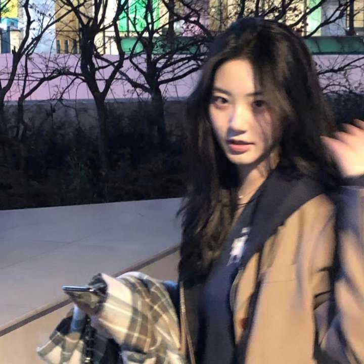 午夜天鹅